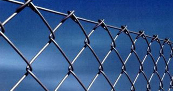 What mesh to choose for the fence: netting, welded, grooved, plastic