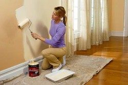 silicate paint application