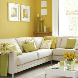 mustard color paint for walls