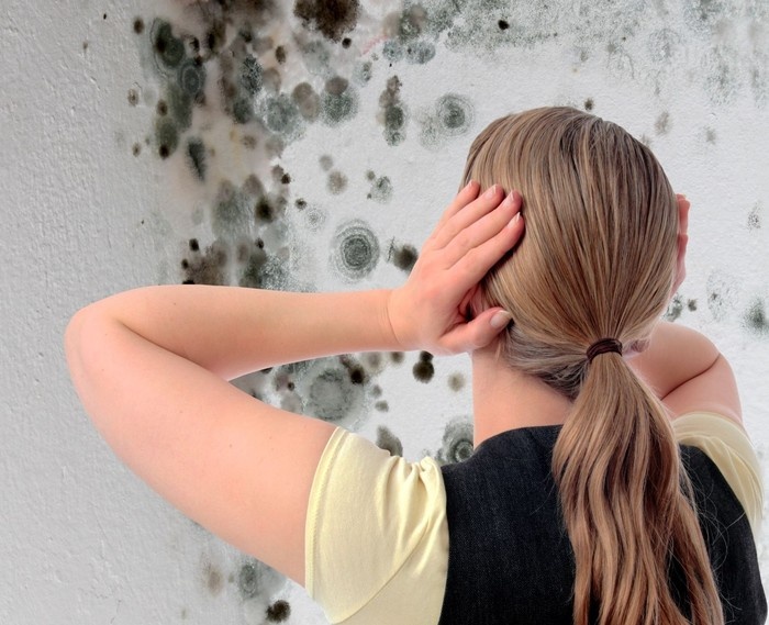 16 måder at slippe af med mug i en lejlighed eller hus