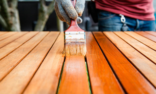 14 tips bagaimana memilih varnis untuk kayu untuk kegunaan dalaman dan luaran: jenis varnis