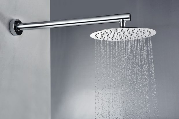 12 tips on which shower head to choose: types, material, mount, manufacturer