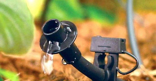 5 tips för att göra din egen droppbevattning