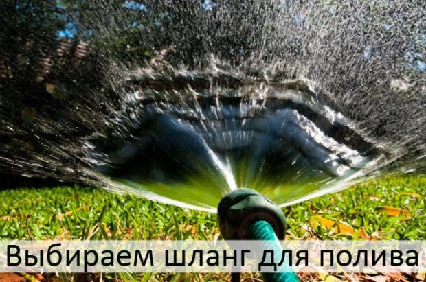 Tuinslang voor water: 7 tips om te kiezen