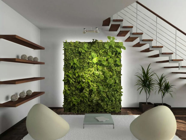 Eco-style in the interior: 10 recommendations for creating + photo