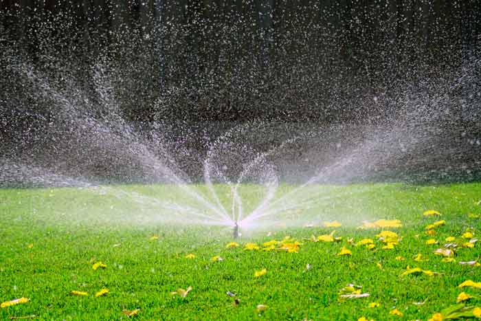6 tips om het gazon water te geven: uitrusting, frequentie, normen