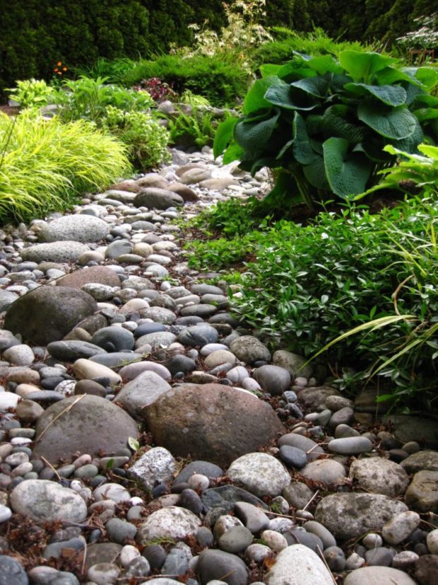 How to make a dry stream with your own hands in the country: 4 tips for creating