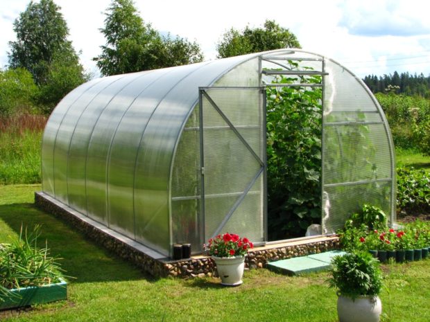 TOP 7 Russian manufacturers of polycarbonate greenhouses