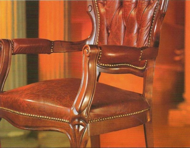 genuine leather for upholstery