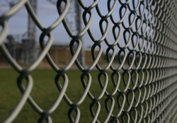 When choosing a mesh netting, attention should be paid to the size of its cells