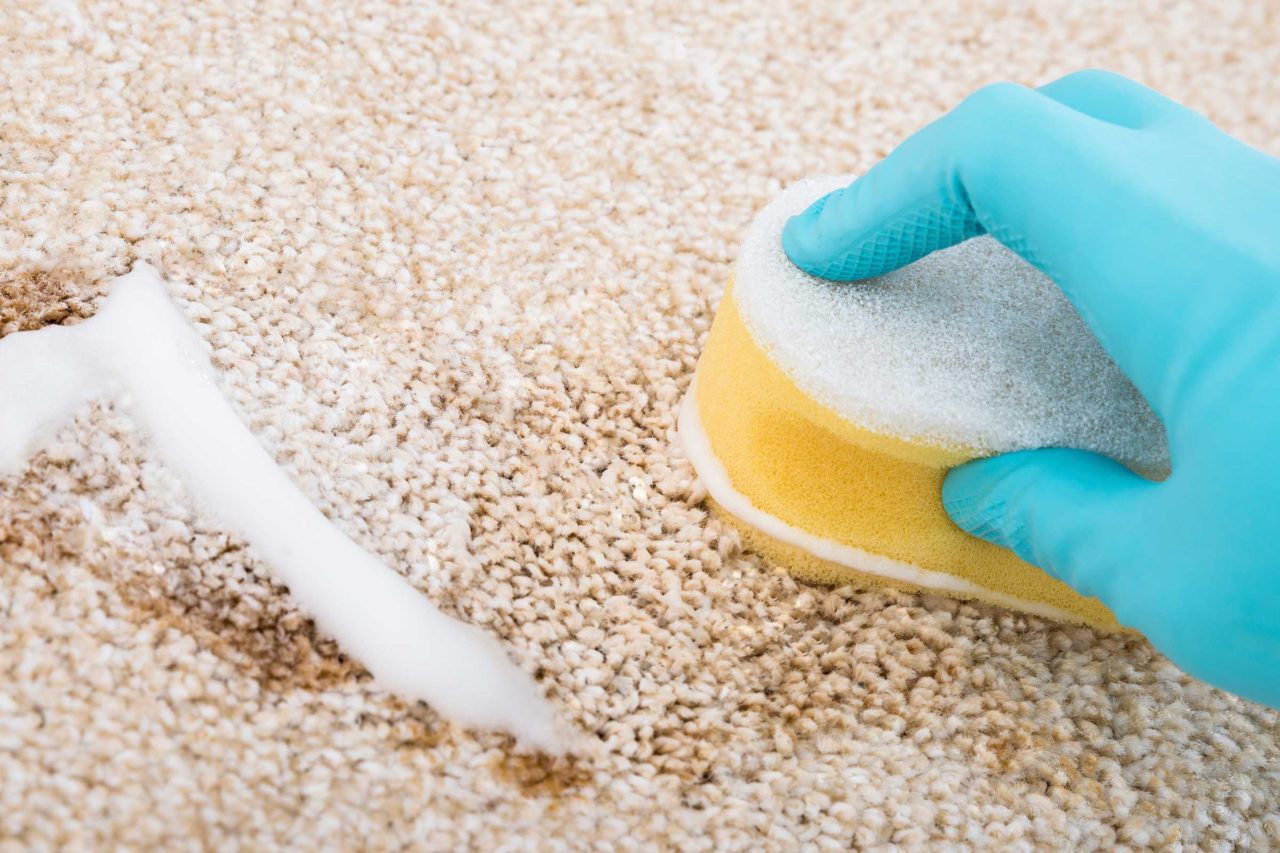 The best ways to clean carpets at home