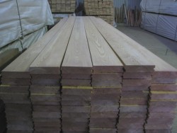 Larch floorboard