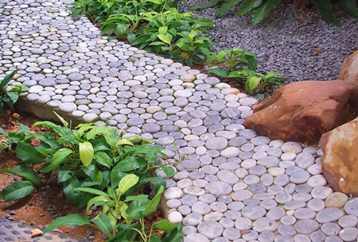Tips for arranging paths in the greenhouse with your own hands (13 design options)
