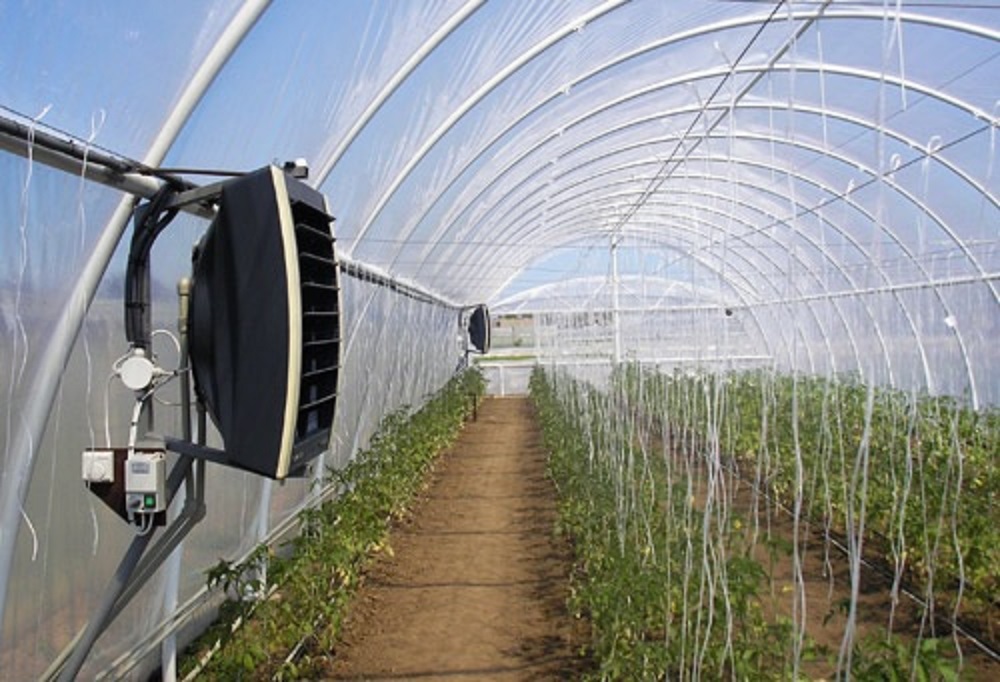 Tips for choosing and installing a greenhouse heating system (5 heating options)