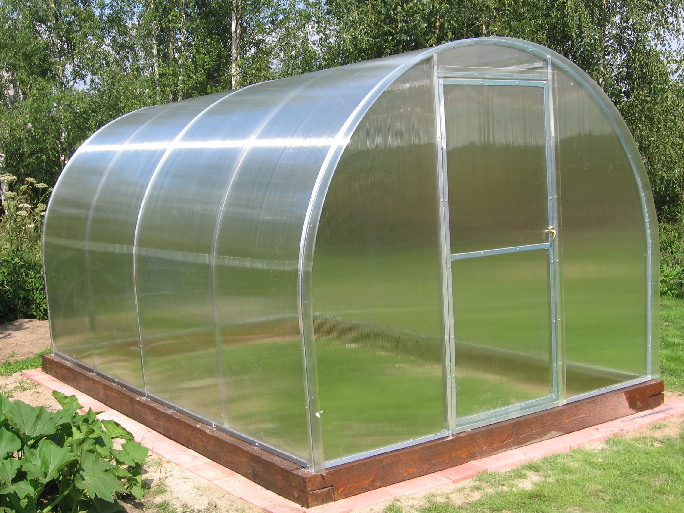 8 tips for choosing polycarbonate for a greenhouse