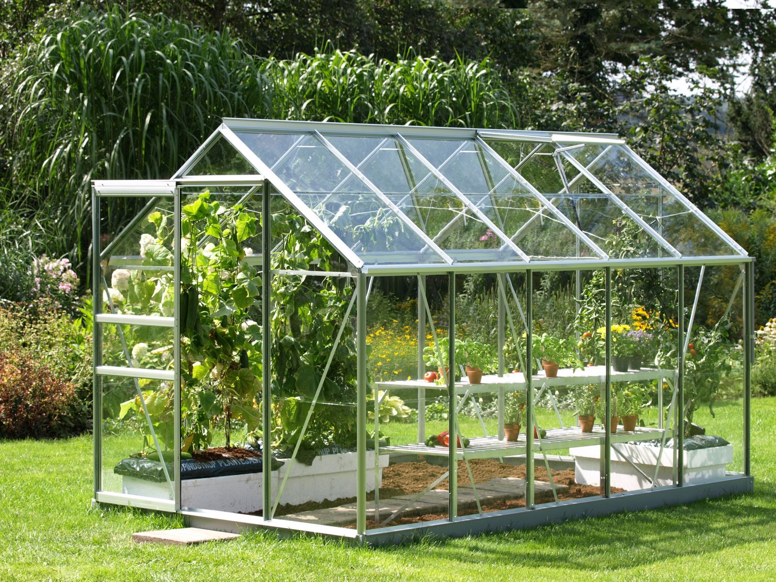 10 tips for choosing a greenhouse to give