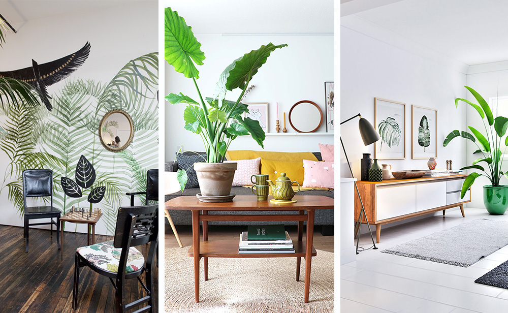 Tropical style in the interior - 6 tips for creating + photo