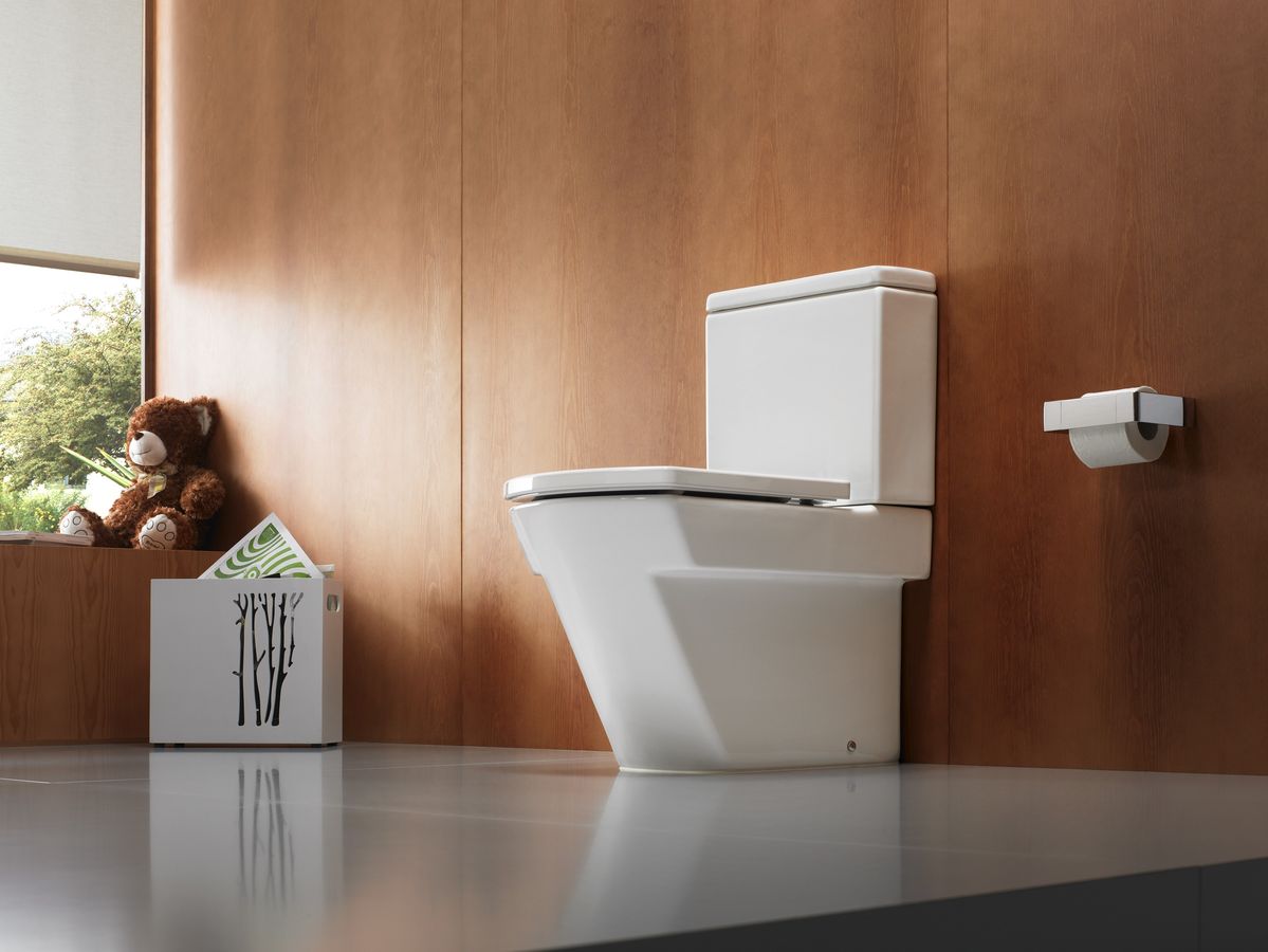 What are the toilets and how to choose it correctly