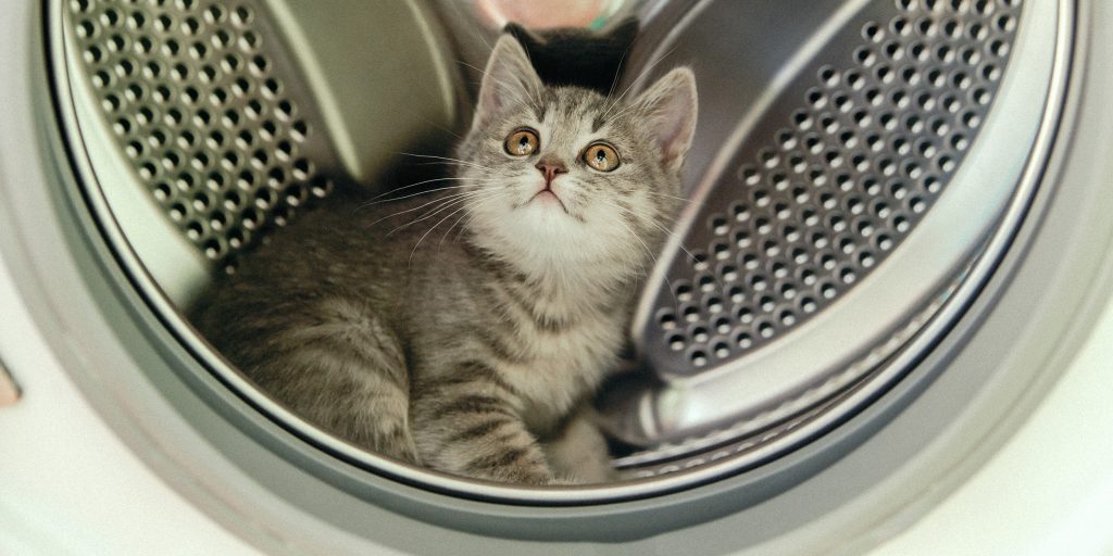 7 sätt att rengöra tvättmaskinen från lukt, smuts och skala