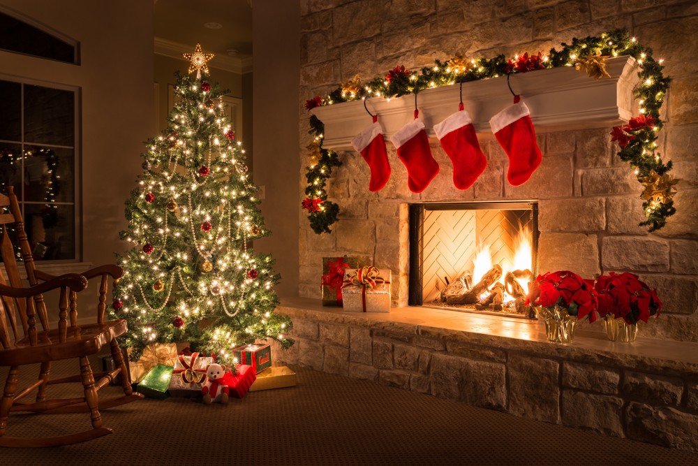 10 טיפים לטיפול בעץ חג המולד
